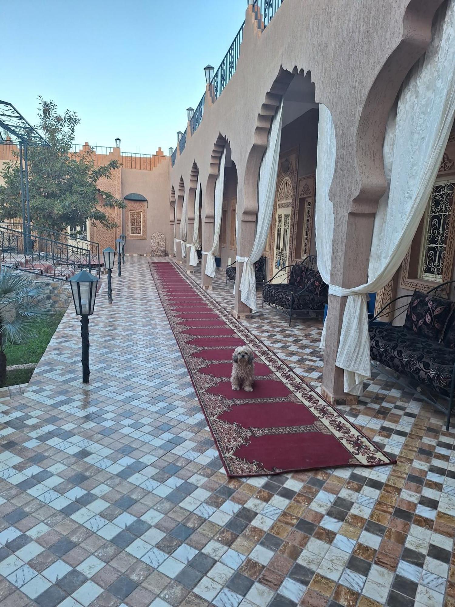 Eden Suite Marrakesh Eksteriør bilde